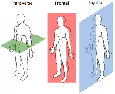 Body Planes