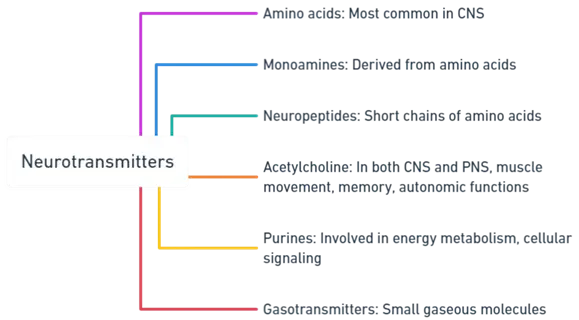 Neurotransmitters