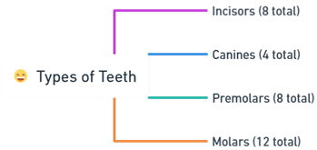 Types of Teeth