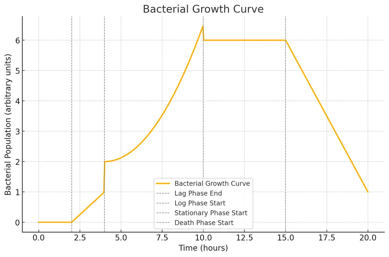 Bacterial Growth Curve