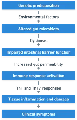 Inflammatory bowel of Barrier Dysfunction Inflammatory bowel of Barrier Dysfunction
