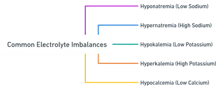 Common Electrolyte Imbalances