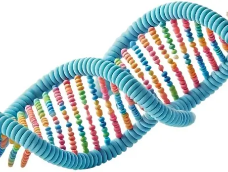 DNA