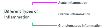 Different Types of Inflammation 