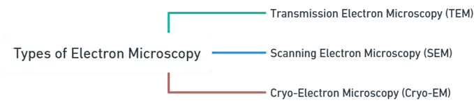 Types of Electron Microscopy