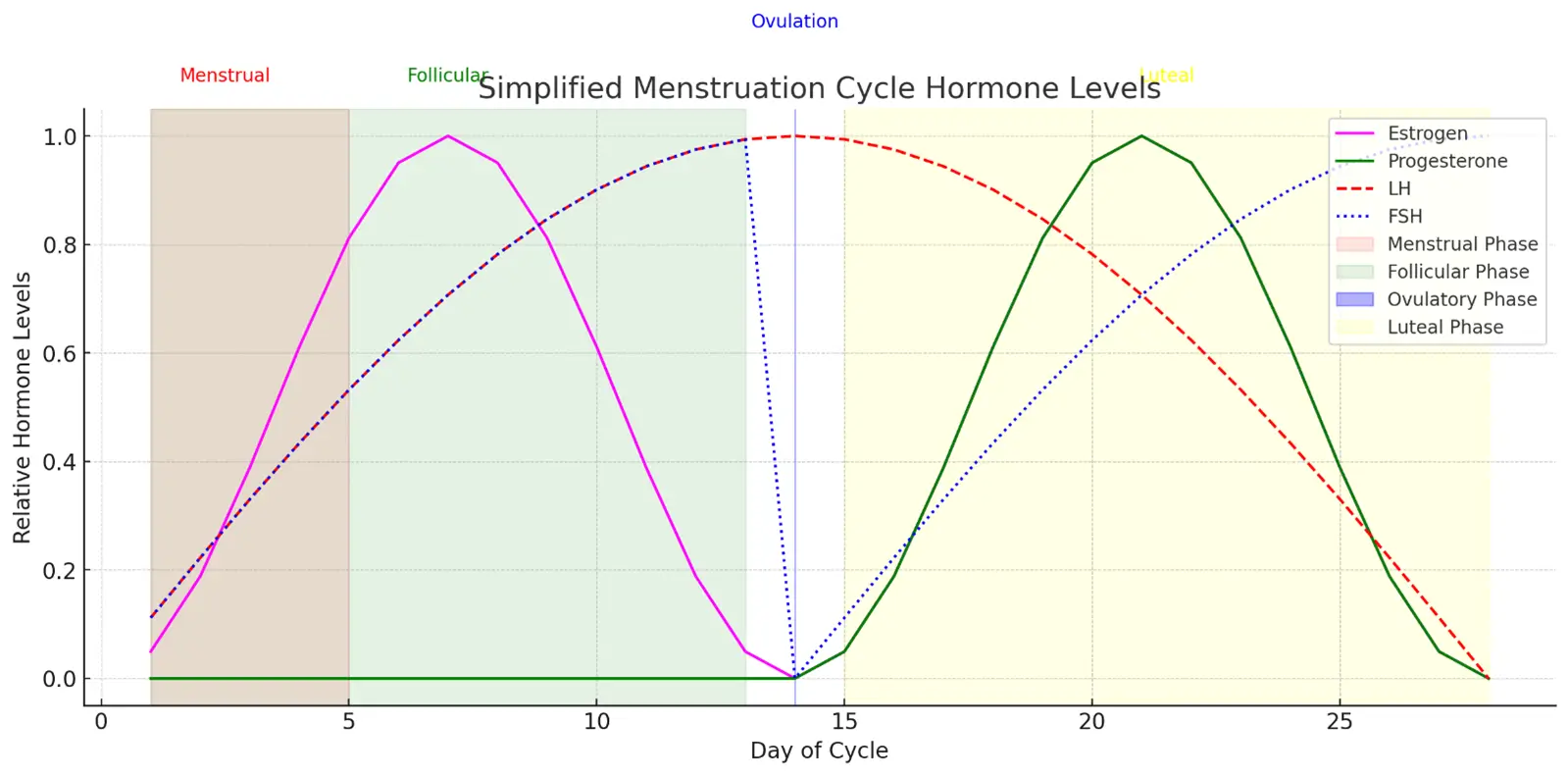 End of the Luteal Phase End of the Luteal Phase in Menstruation
