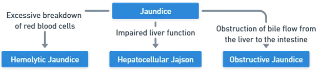 Excessive breakdown of red blood cells