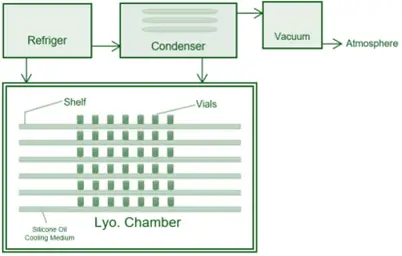 Freeze Dryer (Lyophilizers)