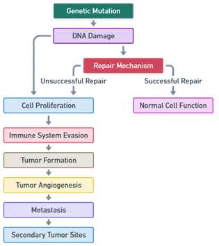 Pathogenesis of Cancer Genetic Mutations Pathogenesis of Cancer Genetic Mutations