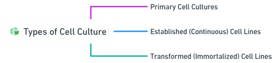 Types of Cell Culture
