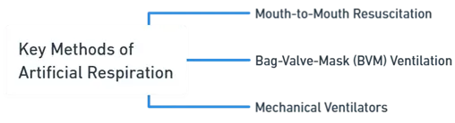 Key methods of artificial respiration