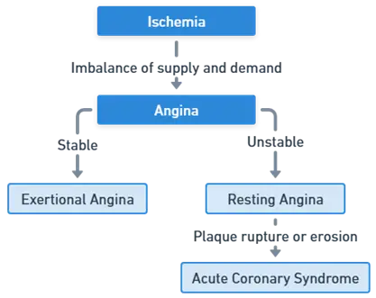 Mechanism of Angina