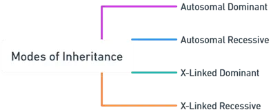 Modes of Inheritance