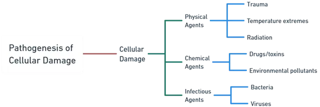 Pathogenesis of Cellular Damage