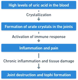 Pathogenesis of Gout