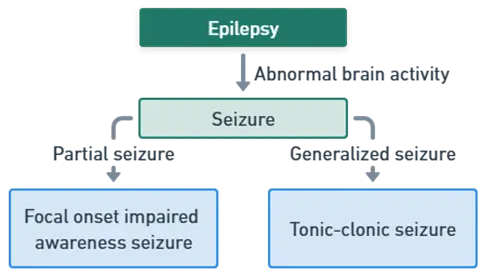 Pathophysiology of Epilepsy Pathophysiology of Epilepsy