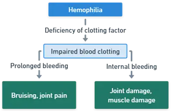Pathophysiology of Hemophilia Pathophysiology of Hemophilia
