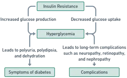 Pathophysiology of Type 2 Diabetes Pathophysiology of Type 2 Diabetes