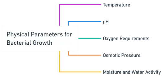 Physical Parameters for Bacterial Growth