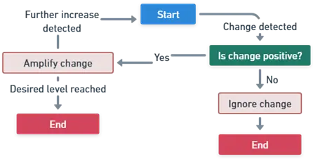 Positive Feedback Systems Positive Feedback Systems of Homeostasis