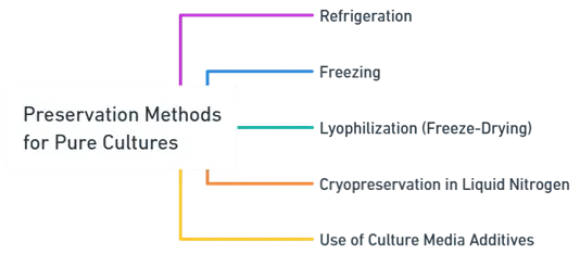 Preservation Methods for Pure Cultures