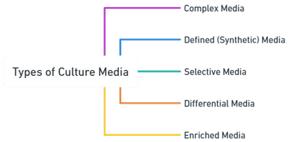 Types of Culture Media