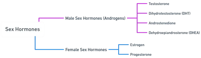Sex hormone