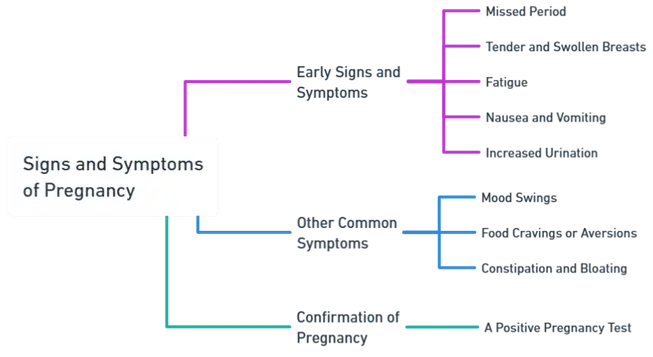 Signs and symptoms of pregnancy Signs and symptoms of pregnancy