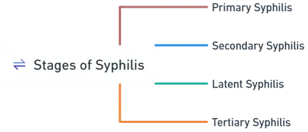 Stages of Syphilis