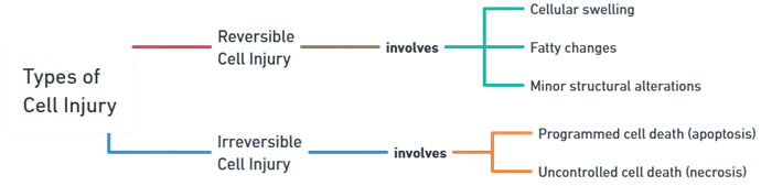 Types of Cell Injury Types of Cell Injury