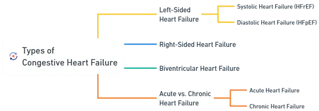 Types of Congestive Heart Failure Types of Congestive Heart Failure