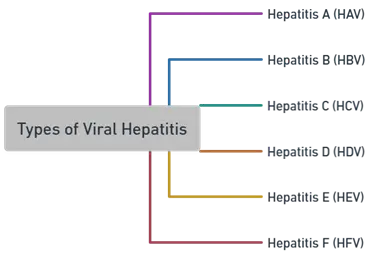 Alcoholic Liver Disease Alcoholic Liver Disease
