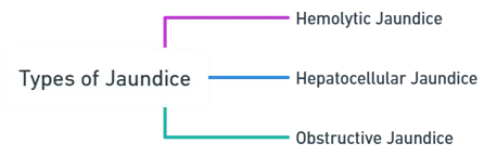 Types of Jaundice
