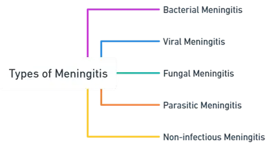 Types of Meningitis