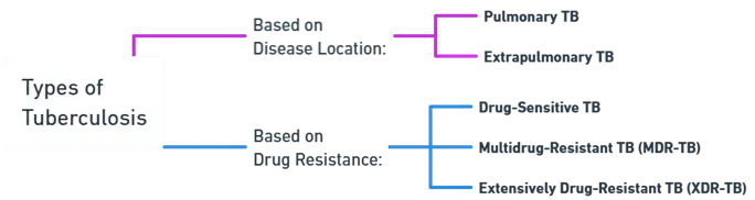 Types of Tuberculosis