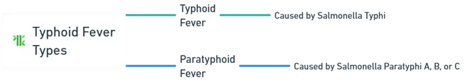 Types of Typhoid Fever