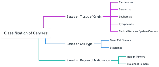 classification of cancer classification of cancer