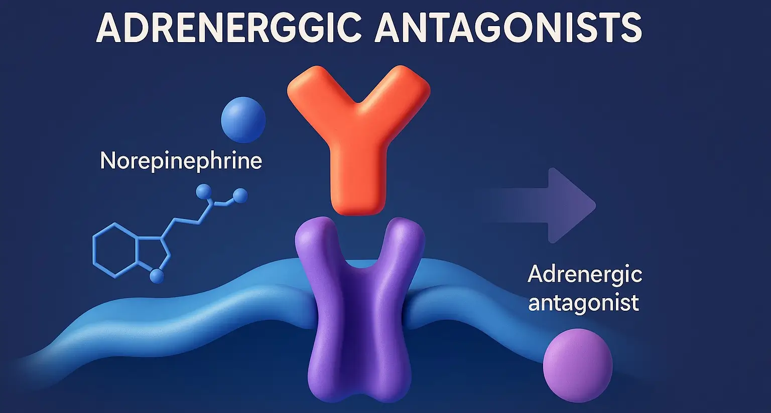 Adrenergic Antagonists