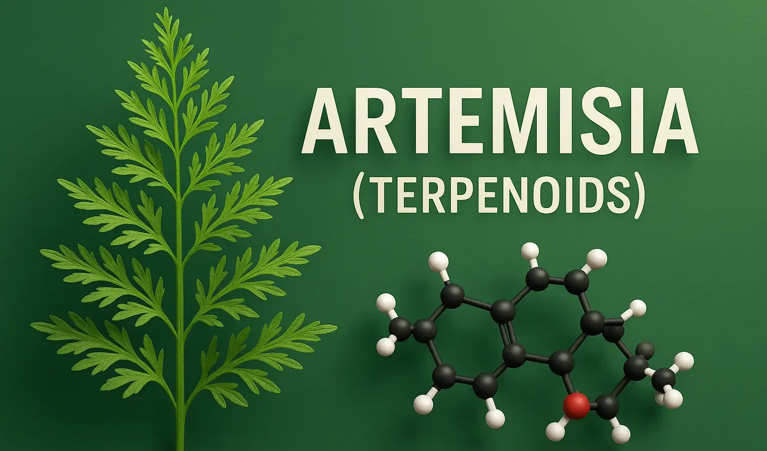 Artemisia (Terpenoids)