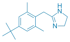 Basic Structural Features Xylometazoline