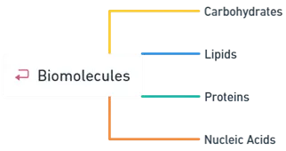 Biomolecules