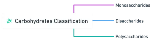 Carbohydrates Classification