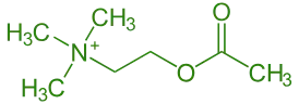 Chemical Formula of Acetylcholine