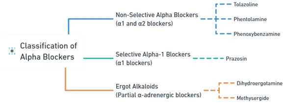 Classification of Beta-Adrenergic Blockers
