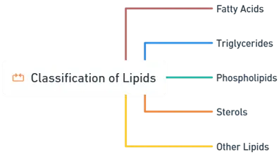 Classification of Lipids Classification of Lipids
