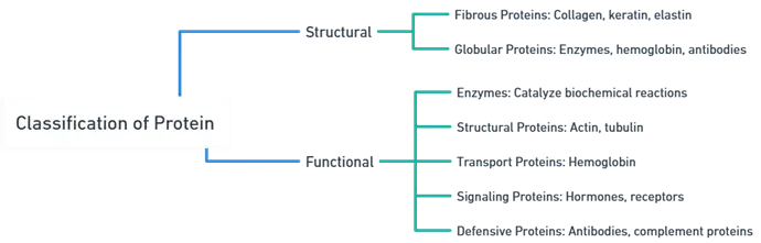 Classification of Proteins Classification of Proteins