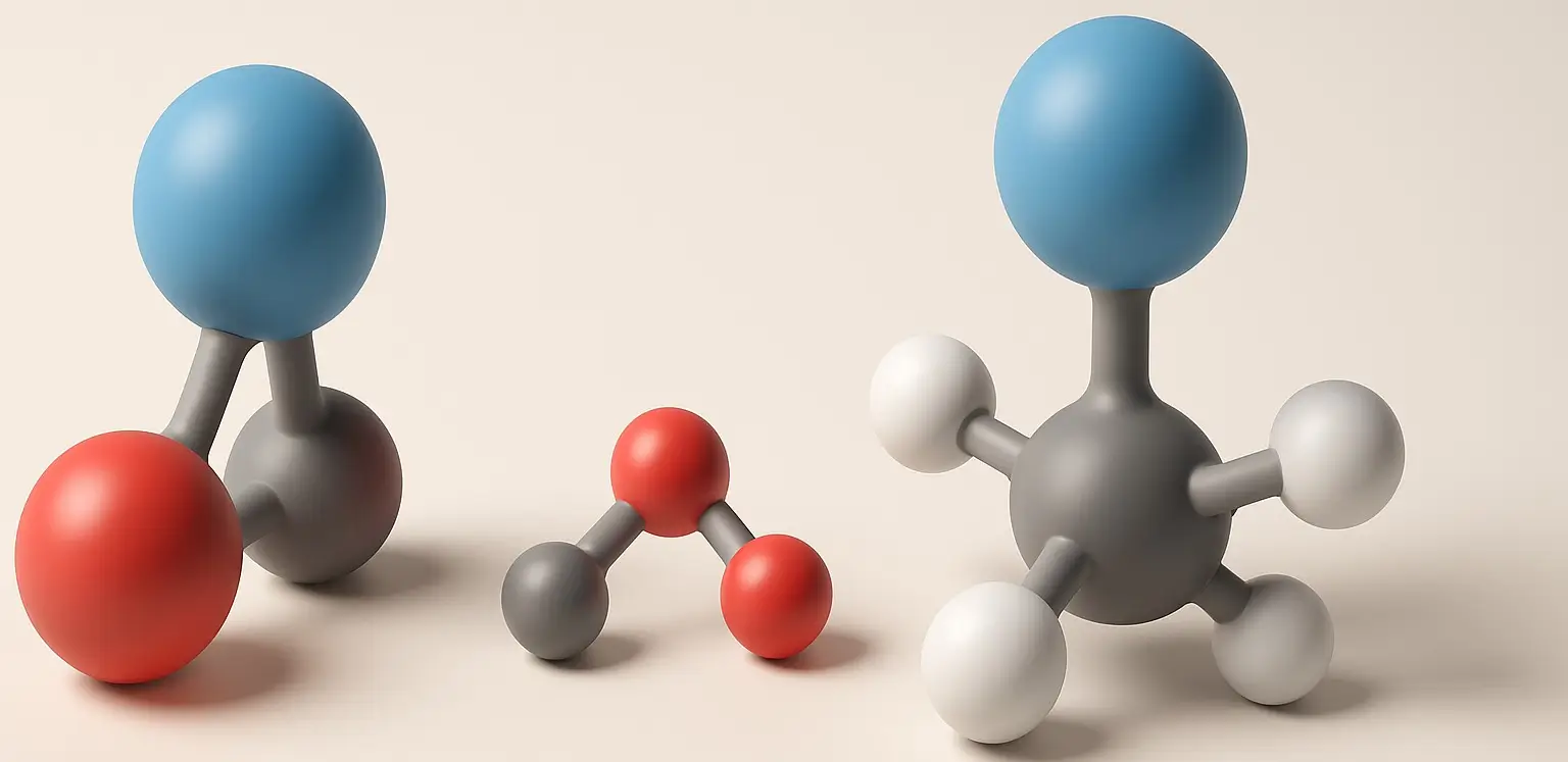 Decarboxylation in Amino Acid Metabolism