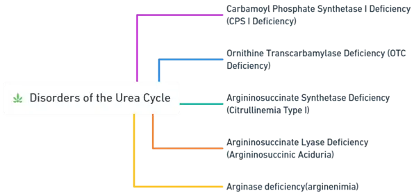 Disorders of the Urea Cycle