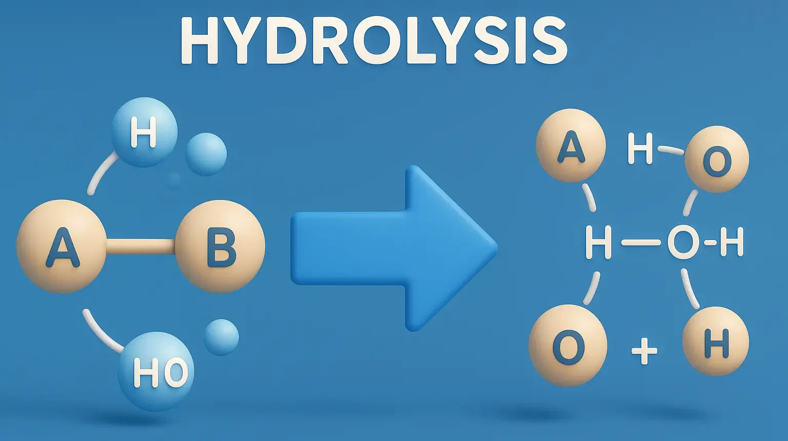 Hydrolysis