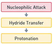 Cannizzaro Reaction Cannizzaro Reaction